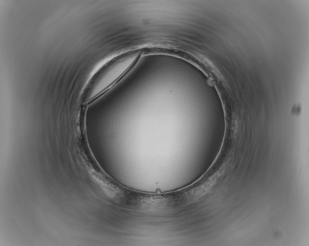 X0000091640830200709060936