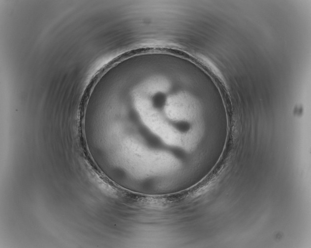 X0000091640831200709060936
