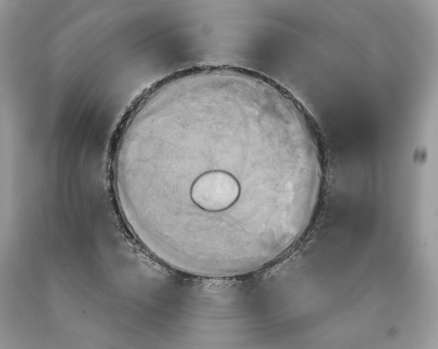 X0000091640832200709060936