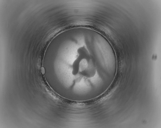 X0000091640833200709060936