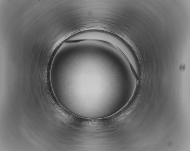 X0000091640834200709060936
