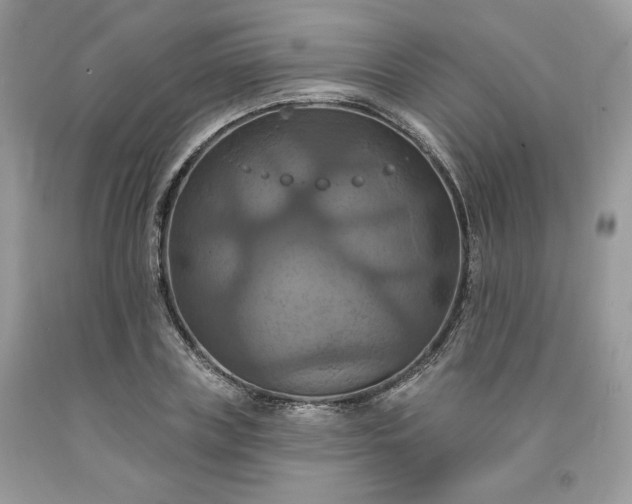 X0000091640835200709060936