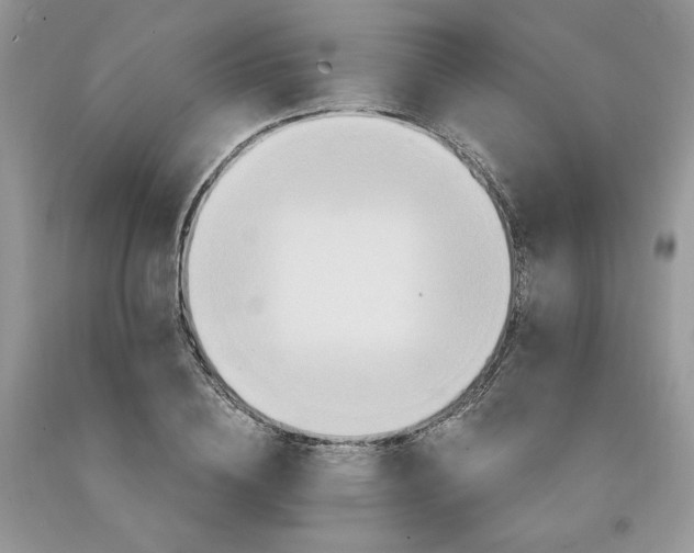 X0000091640836200709060936
