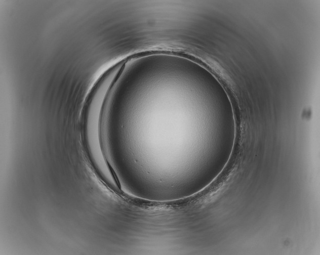 X0000091640838200709060936