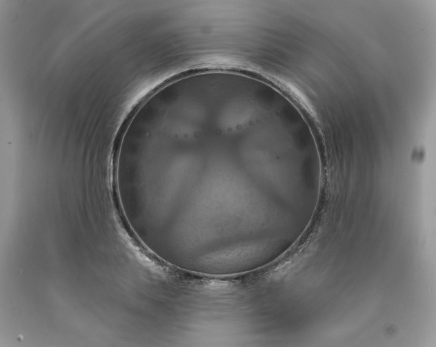 X0000091640839200709060936