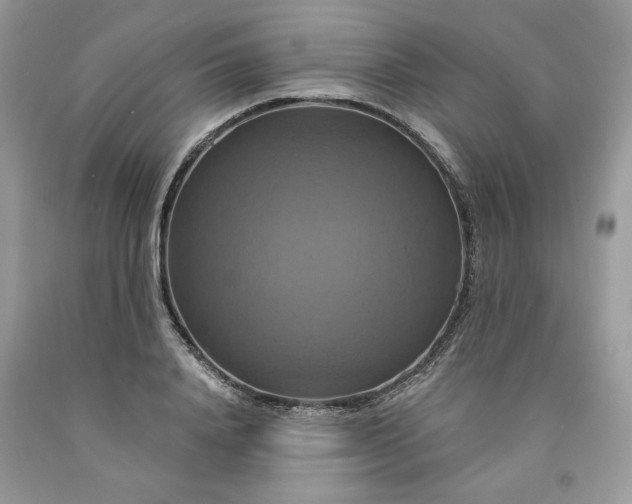 X0000091640840200709060936