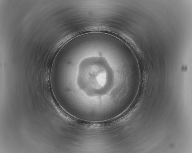 X0000091640841200709060936