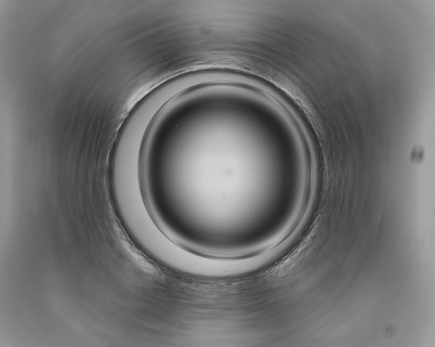 X0000091640842200709060936