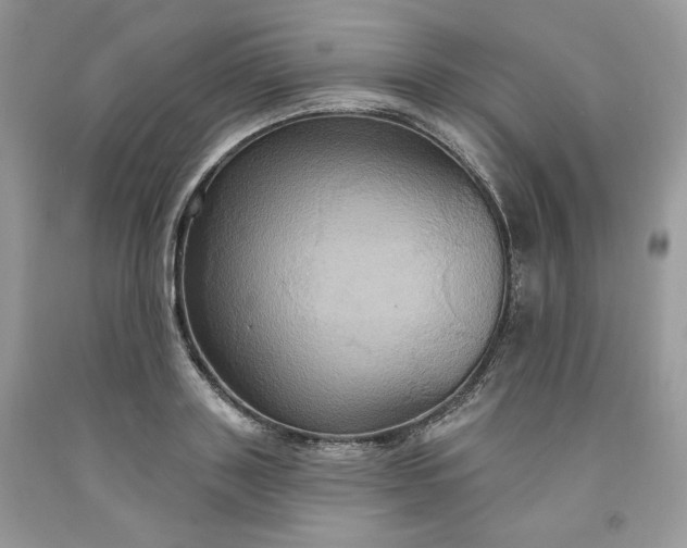 X0000091640843200709060936