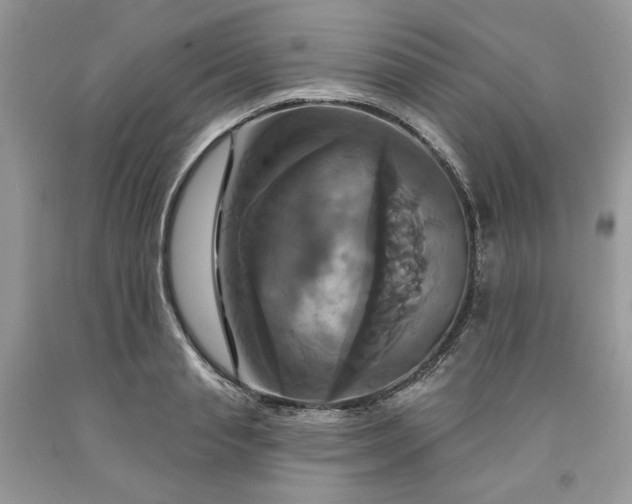 X0000091640845200709060936