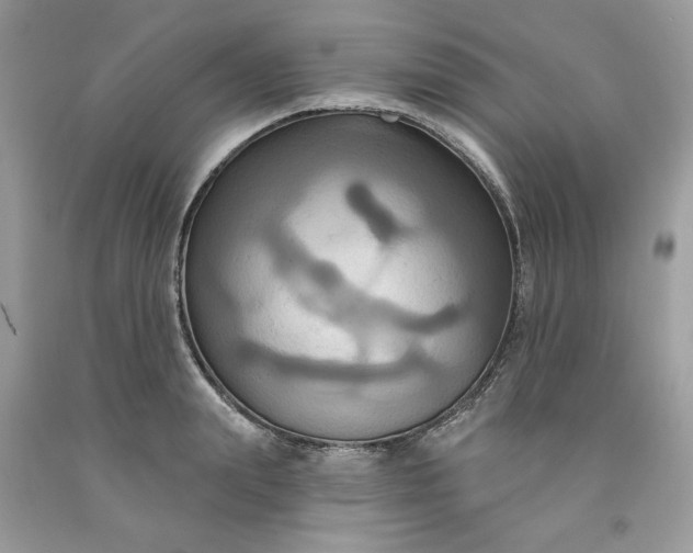 X0000091640847200709060936