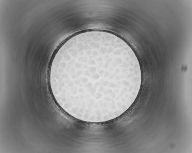 X0000091640848200709060936