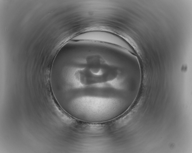 X0000091640849200709060936