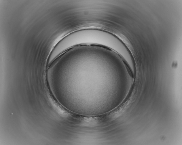 X0000091640850200709060936