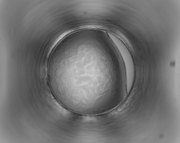 X0000091640852200709060936