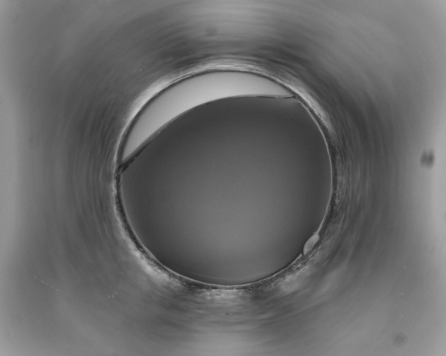 X0000091640853200709060936