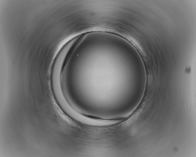X0000091640854200709060936