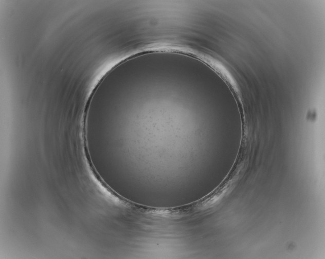 X0000091640855200709060936