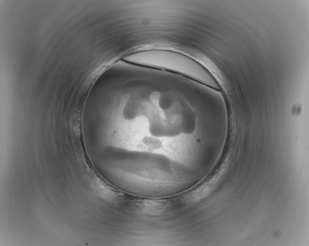 X0000091640857200709060936