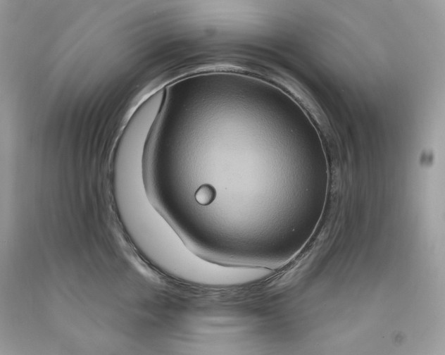 X0000091640858200709060936