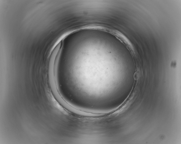 X0000091640860200709060936