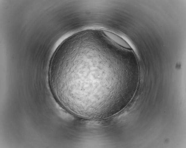 X0000091640861200709060936