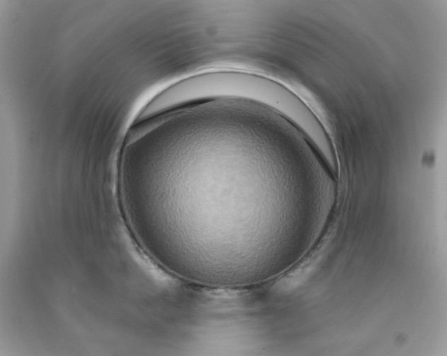 X0000091640862200709060936