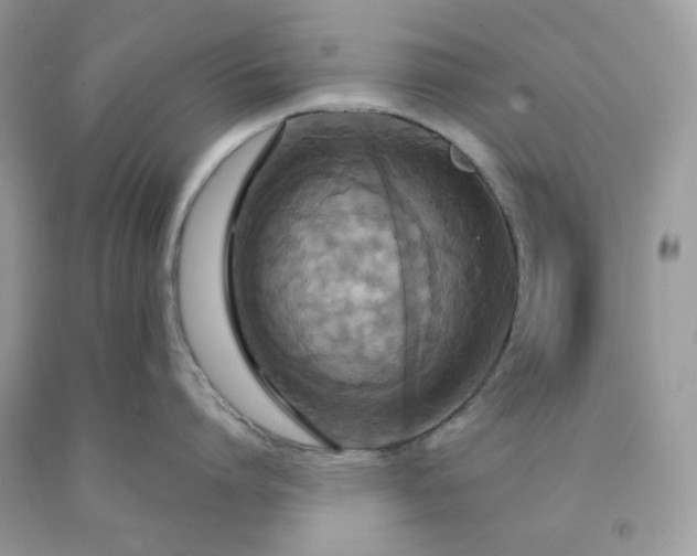 X0000091640864200709060936