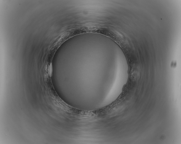 X0000091640866200709060935