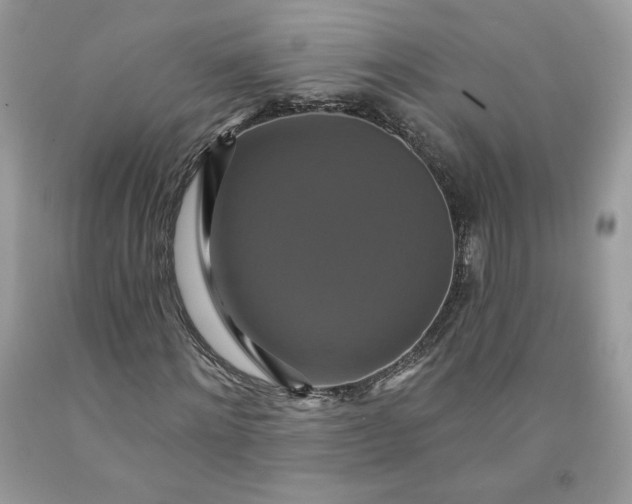 X0000091640868200709060935
