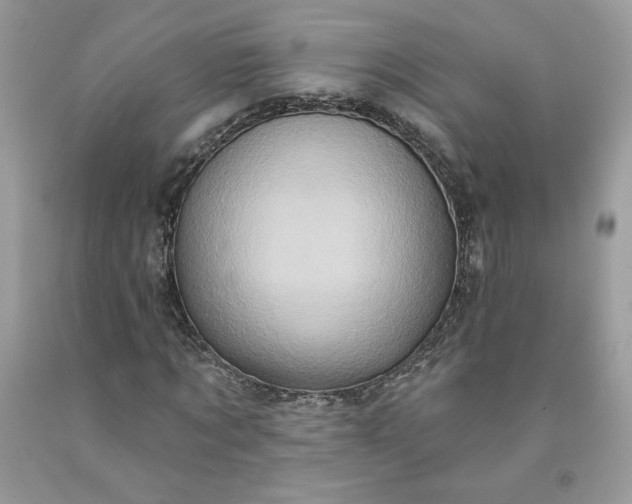 X0000091640869200709060935