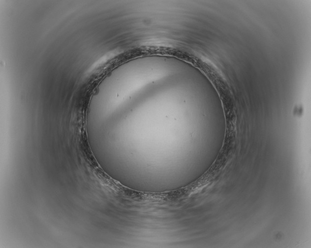 X0000091640870200709060935