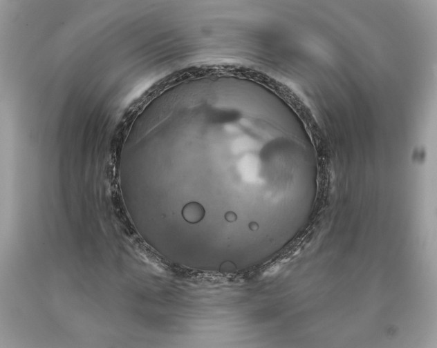X0000091640871200709060935