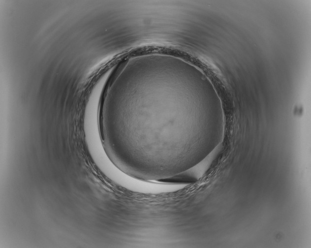 X0000091640872200709060935