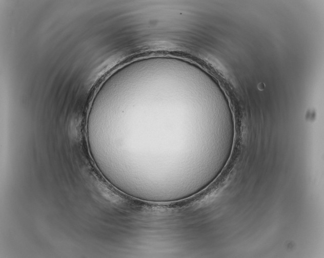 X0000091640873200709060935