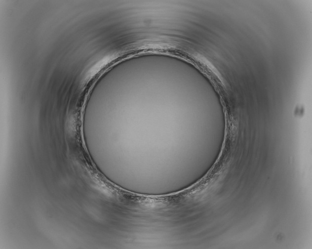 X0000091640874200709060935