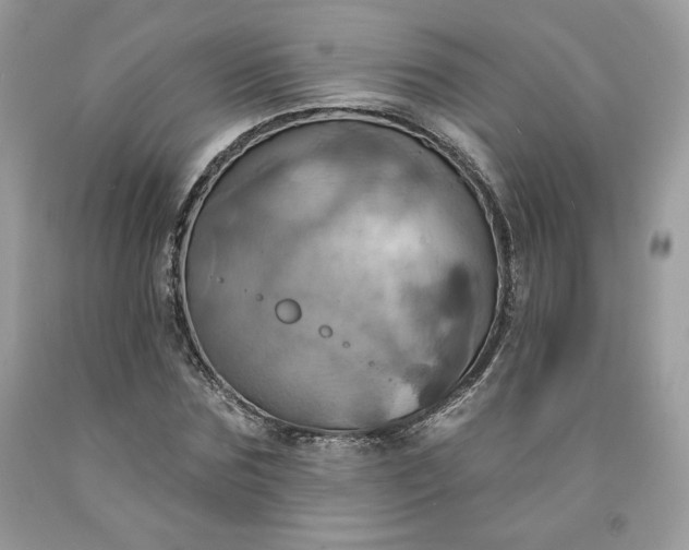 X0000091640875200709060935
