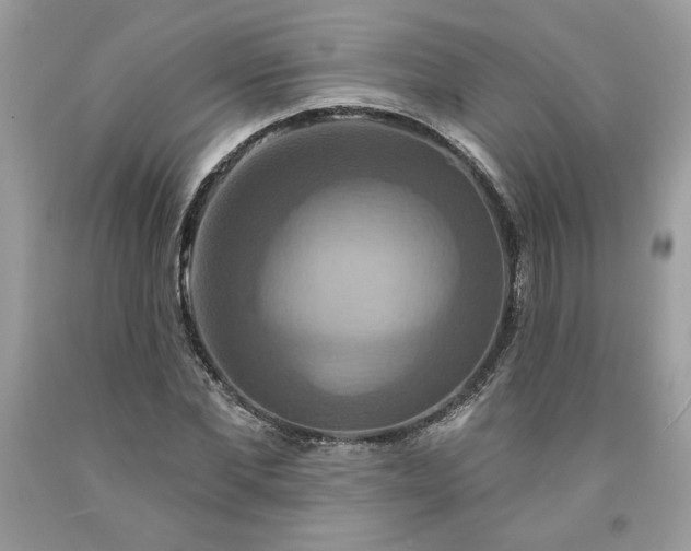 X0000091640877200709060935