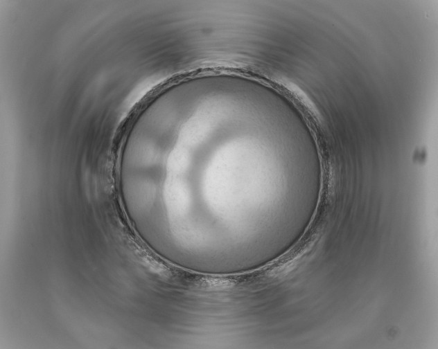 X0000091640878200709060935