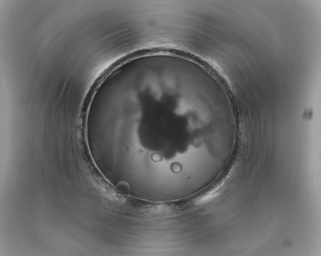 X0000091640879200709060935