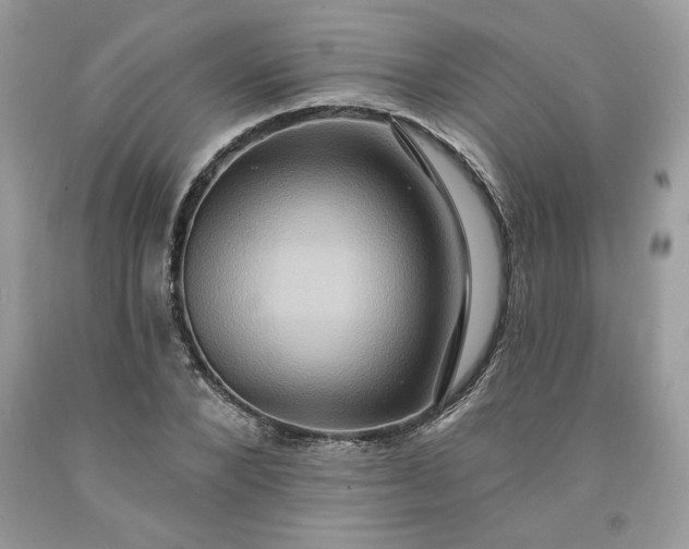 X0000091640880200709060935