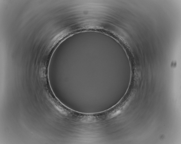 X0000091640881200709060935