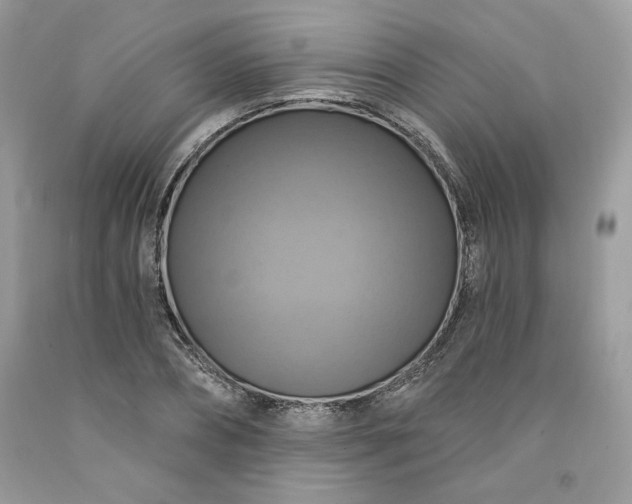 X0000091640882200709060935