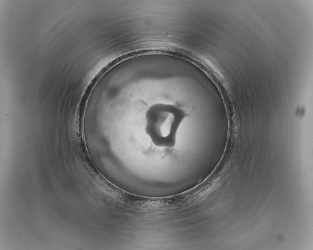 X0000091640883200709060935