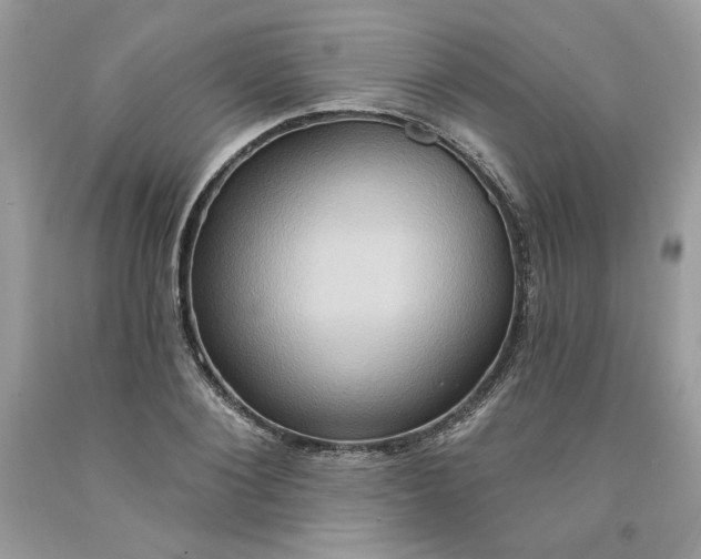 X0000091640884200709060935