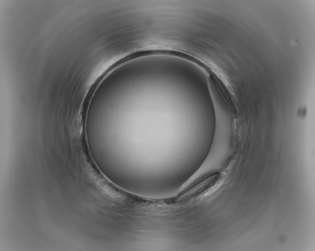 X0000091640885200709060935