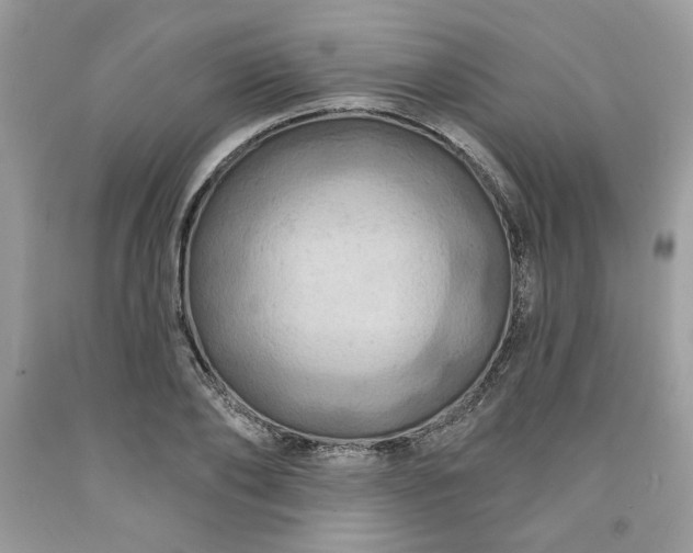 X0000091640886200709060935