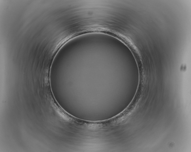 X0000091640889200709060935