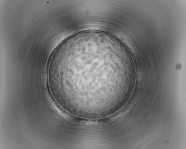 X0000091640890200709060935