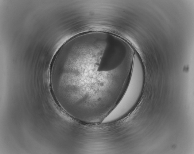 X0000091640891200709060935